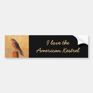 American Kestrel Painting - Original Bird Art Bildekal