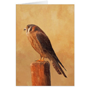 American Kestrel Painting - Original Bird Art Hälsningskort