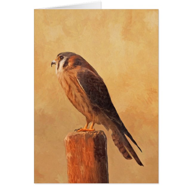 American Kestrel Painting - Original Bird Art Hälsningskort (Framsidan)