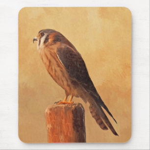 American Kestrel Painting - Original Bird Art Musmatta