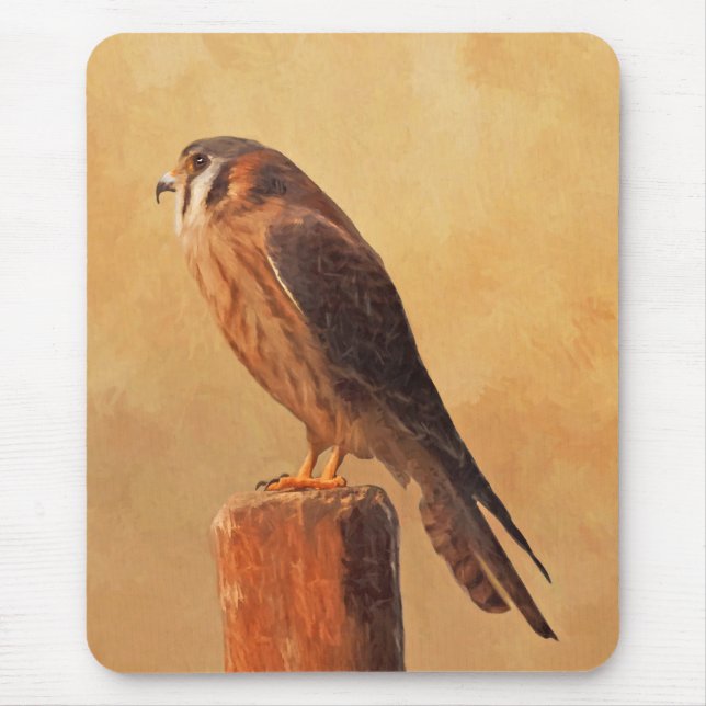 American Kestrel Painting - Original Bird Art Musmatta (Framsidan)