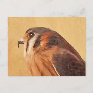 American Kestrel Painting - Original Bird Art Vykort