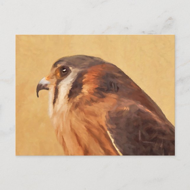 American Kestrel Painting - Original Bird Art Vykort (Framsida)