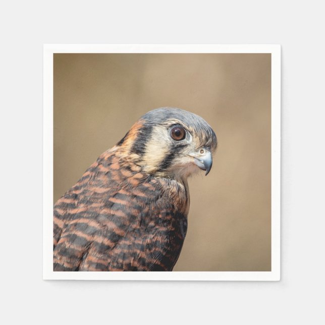 American Kestrel Pappersservett (Framsidan)