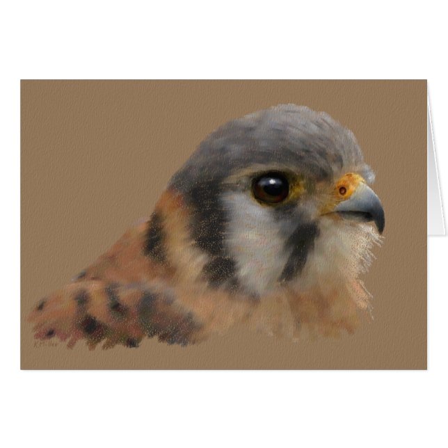 American Kestrel Porträtt Hälsningskort (Framsidan Horizontal)
