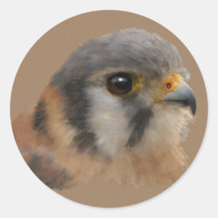 American Kestrel Porträtt Runt Klistermärke
