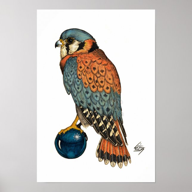 American Kestrel Poster (Framsidan)