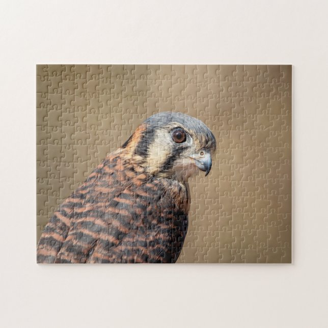 American Kestrel Pussel (Horisontell)