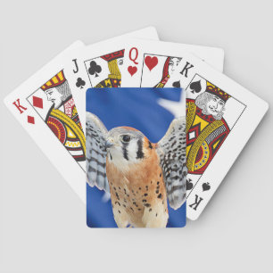 American Kestrel Spelkort