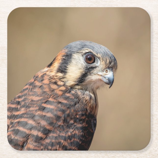 American Kestrel Underlägg Papper Kvadrat (Framsidan)