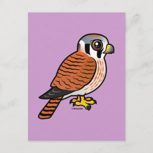 American Kestrel Vykort