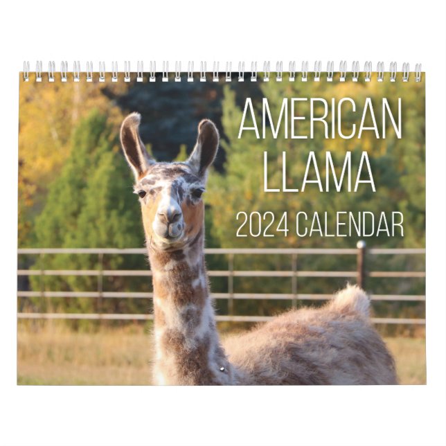 American Llama 2024 Calendar Kalender (Omslag)
