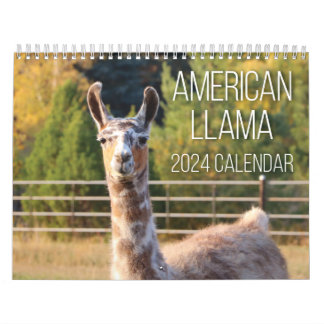 American Llama 2024 Calendar Kalender