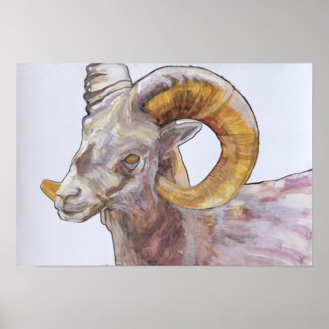 American Long Horn 2004 Poster (Framsidan)