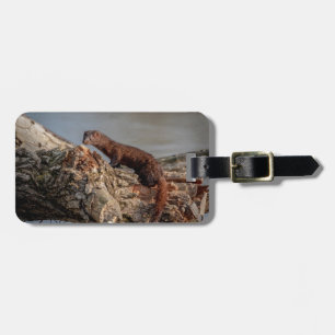 American Mink Bagagebricka