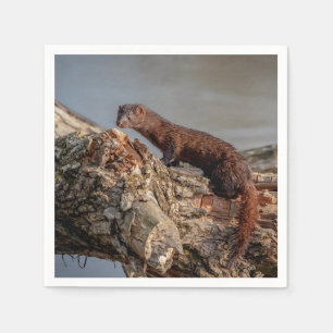American Mink Pappersservett