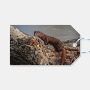 American Mink Presentetikett