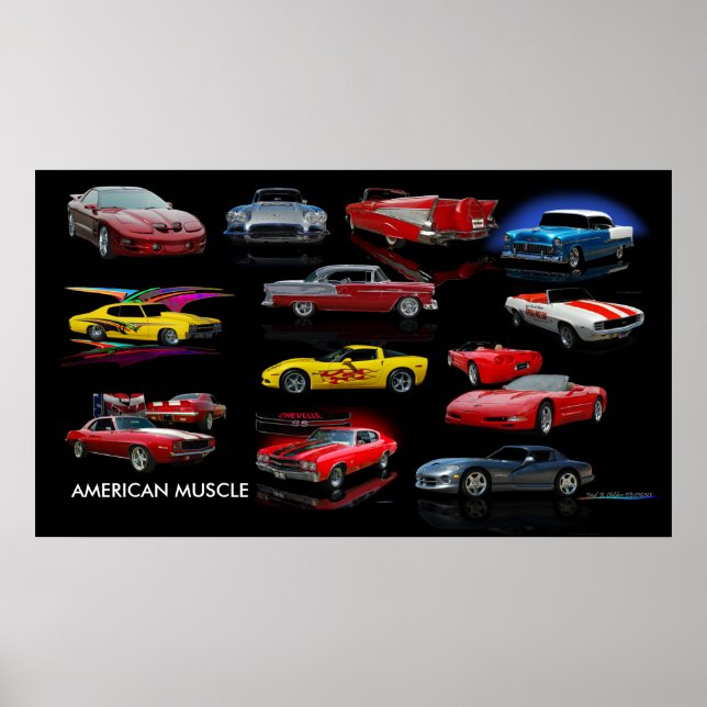 AMERICAN MUSCLE POSTER (Framsidan)