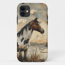 American Mustang Vild Horse Western