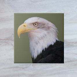 American Örn Head Kakelplatta