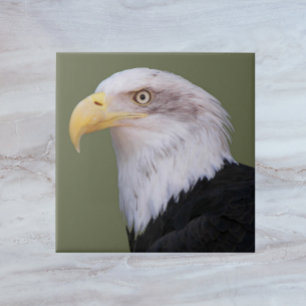 American Örn Head Kakelplatta