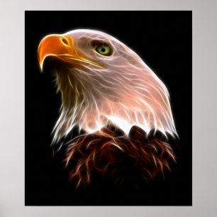 American Örn Head Poster