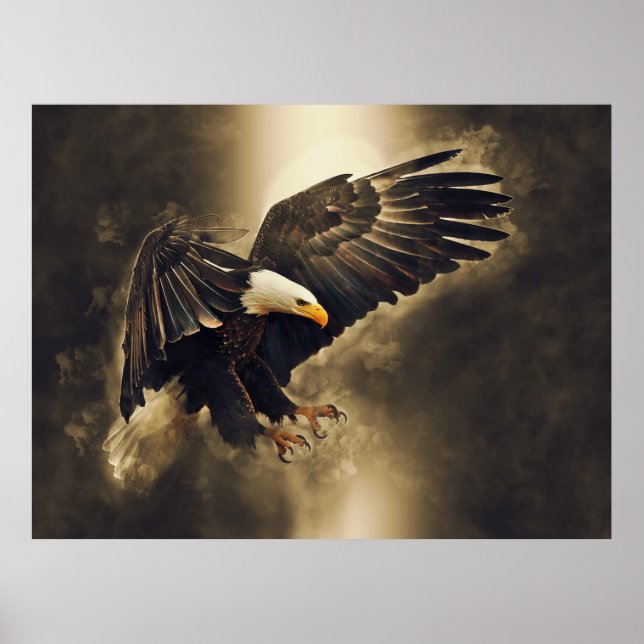 American Örn Let Freedom Soar Poster (Framsidan)
