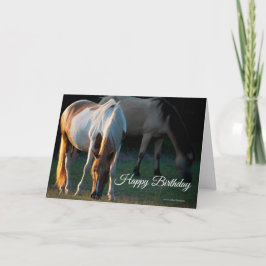 American Paint Horse Birthday Card Kort