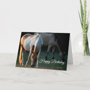 American Paint Horse Birthday Card Kort