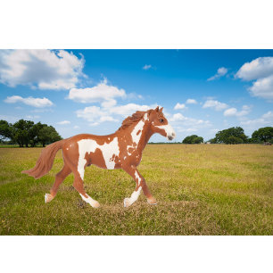 American Paint Horse T Shirt