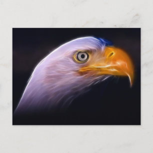 American Patriotic Örn, National Symbol Vykort