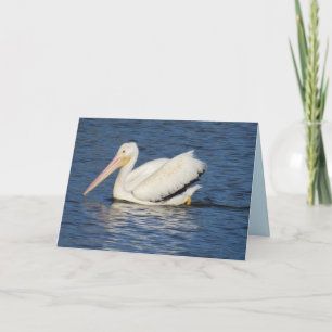American Pelican Greeting Card Helgkort