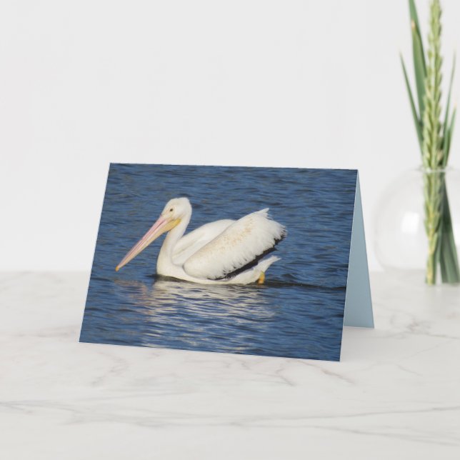 American Pelican Greeting Card Helgkort (Framsida)