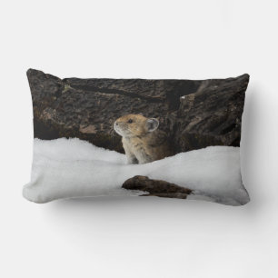 American Pike in Snowbank Lumbarkudde