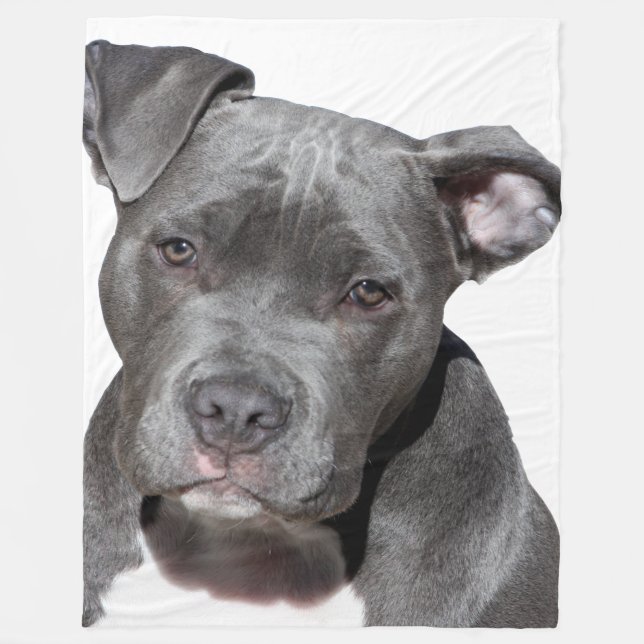 American Pit Bull Terrier Fleecefilt (Framsidan)