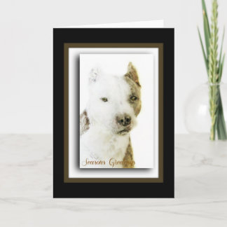 American Pit Bull Terrier Helgkort