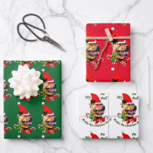 American Pit Bull Terrier jul