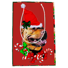 American Pit Bull Terrier jul