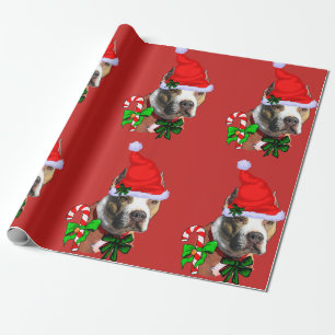 American Pit Bull Terrier jul Presentpapper