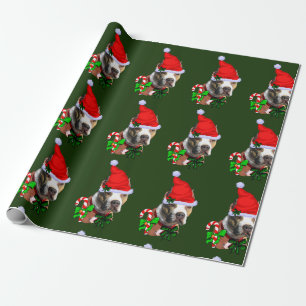 American Pit Bull Terrier jul Presentpapper