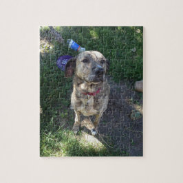 American Pit Bull Terrier Puzzle Pussel