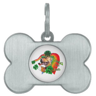 American Pit Bull Terrier St Patricks ID-bricka Husdjur