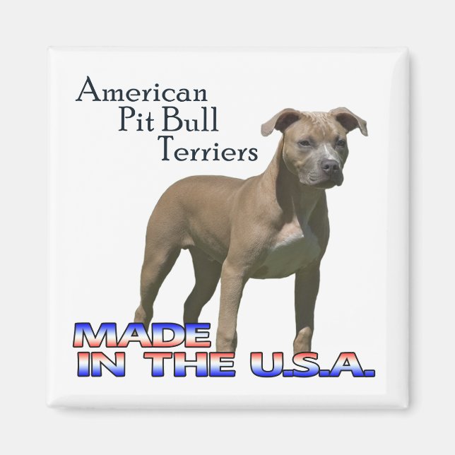American Pit Bull Terriers : Square Magnet (Framsidan)