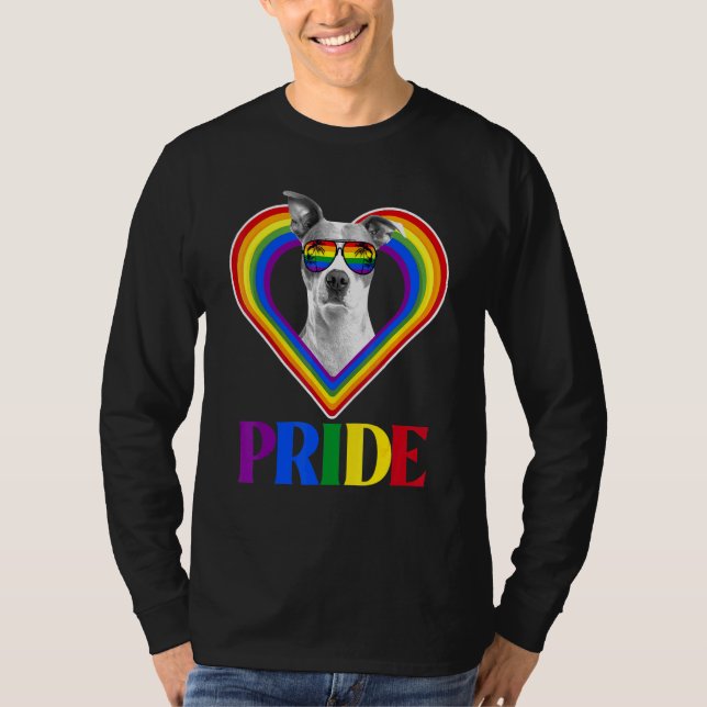 American Pitbull Rainbow Pride T Shirt (Framsida)