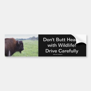 American Plains Buffalo Bison Bildekal