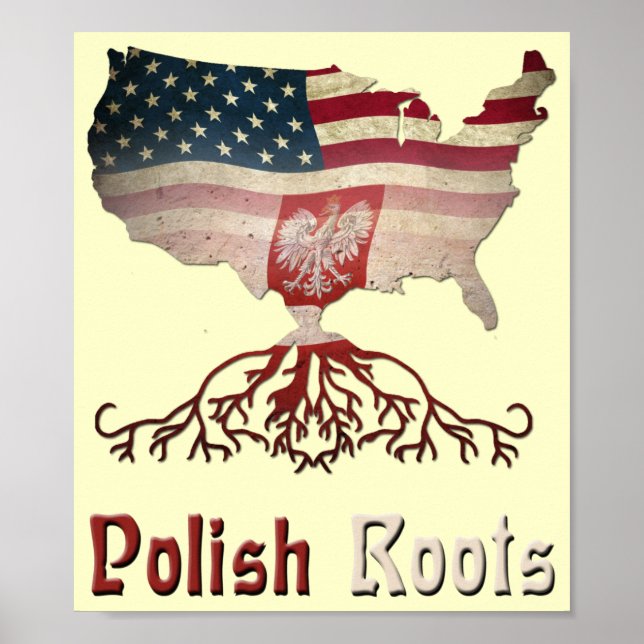 American Polish Roots Poster (Framsidan)