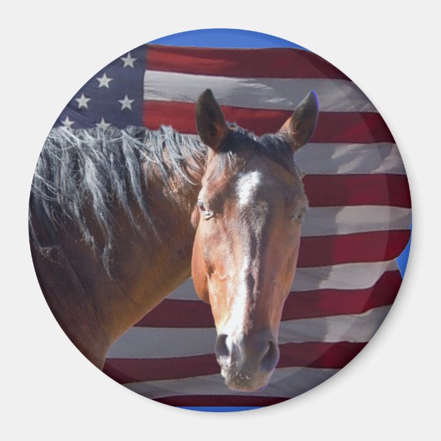 American Quarter Horse and Flagga - Patriotic Magnet (Framsidan)
