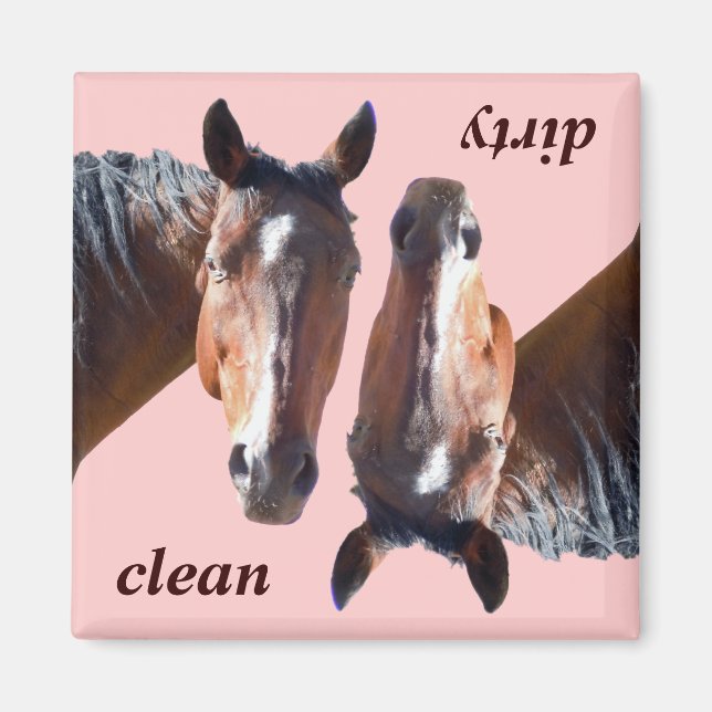American Quarter Horse Dishwasher Magnet (Framsidan)