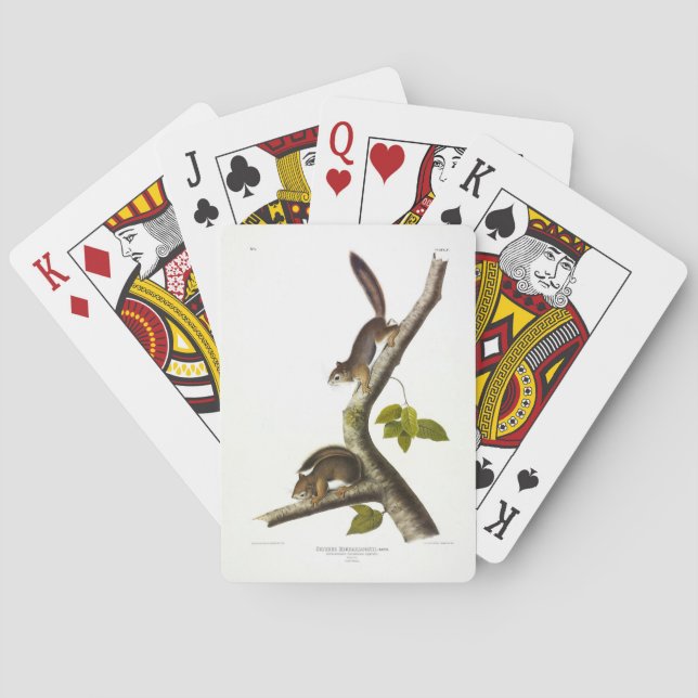 American Red Squirrel (Richardson's Columbian) Casinokort (Baksidan)