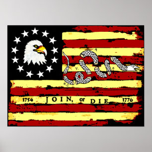 American Revolutionary Flagga Poster